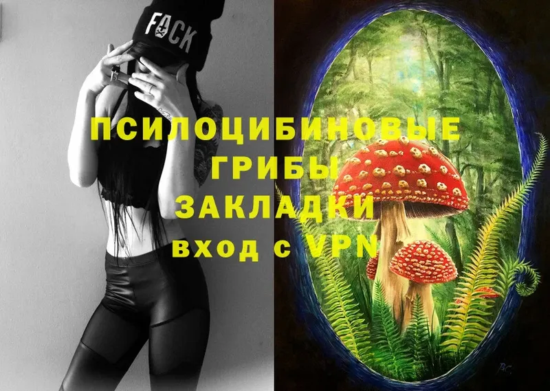 omg маркетплейс  Подольск  Псилоцибиновые грибы Cubensis 